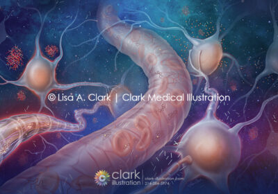 Alzheimer’s Markers in the Blood Illustration